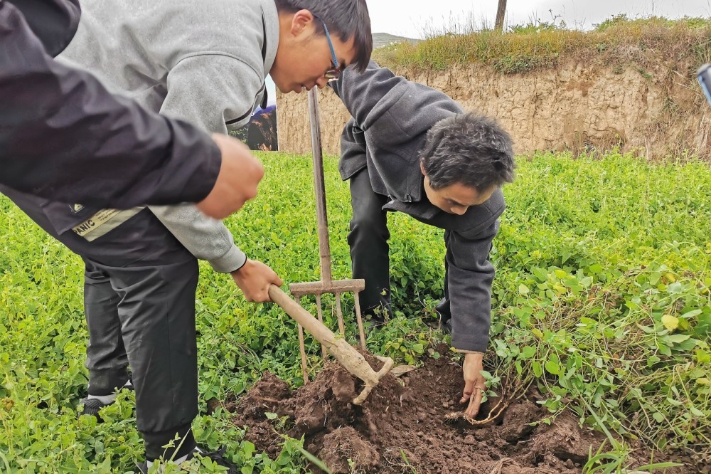 2021农村最赚钱行业,2023年以后农村哪些行业最赚钱
