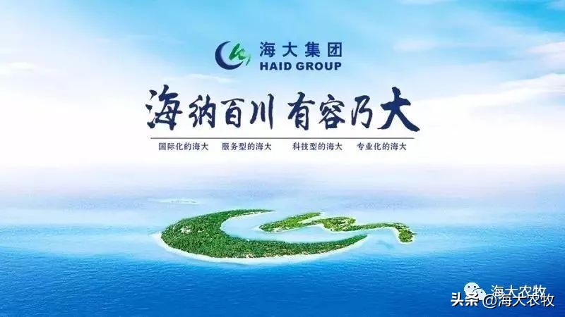 新里程集团未来规划,海大集团水纪元