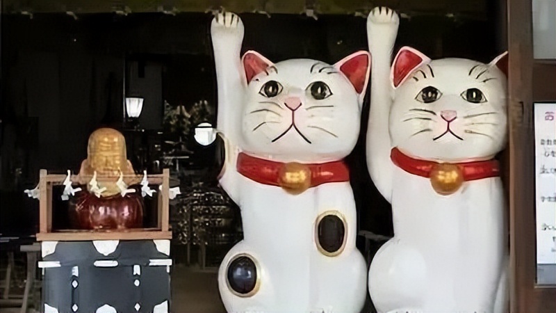 为什么有招财猫却没有招财狗鱼,为什么只有流浪猫没有流浪狗