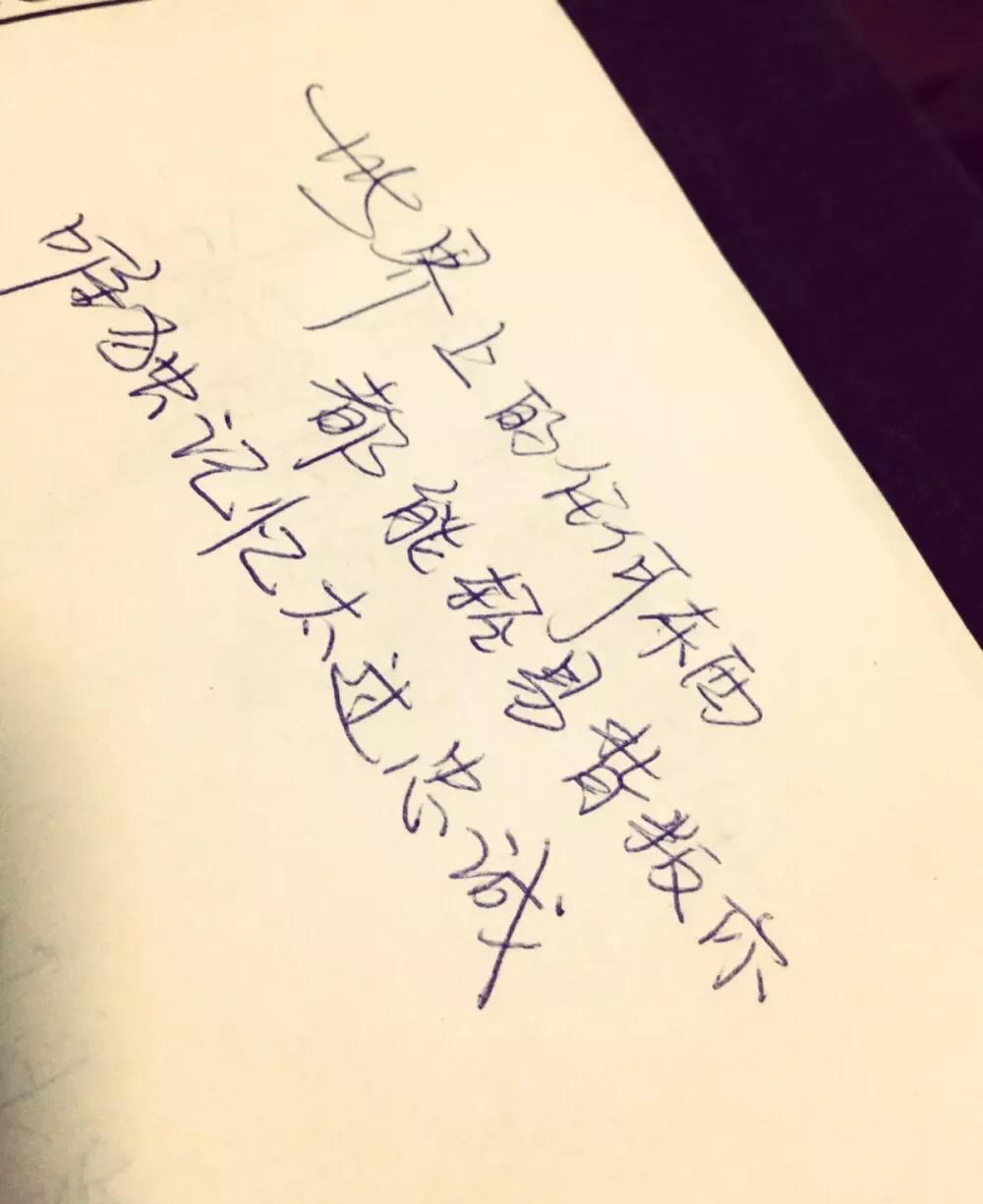 那纷纷扬扬的花瓣犹如万千飞碟，在蓝天下飞扬着翩跹的舞姿