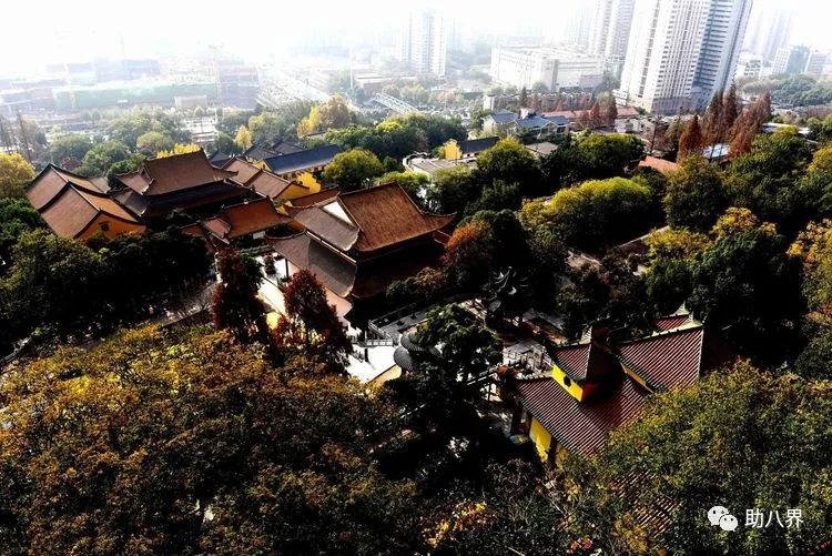 武汉十大旅游景点排名,武汉江夏网红打卡景点大全