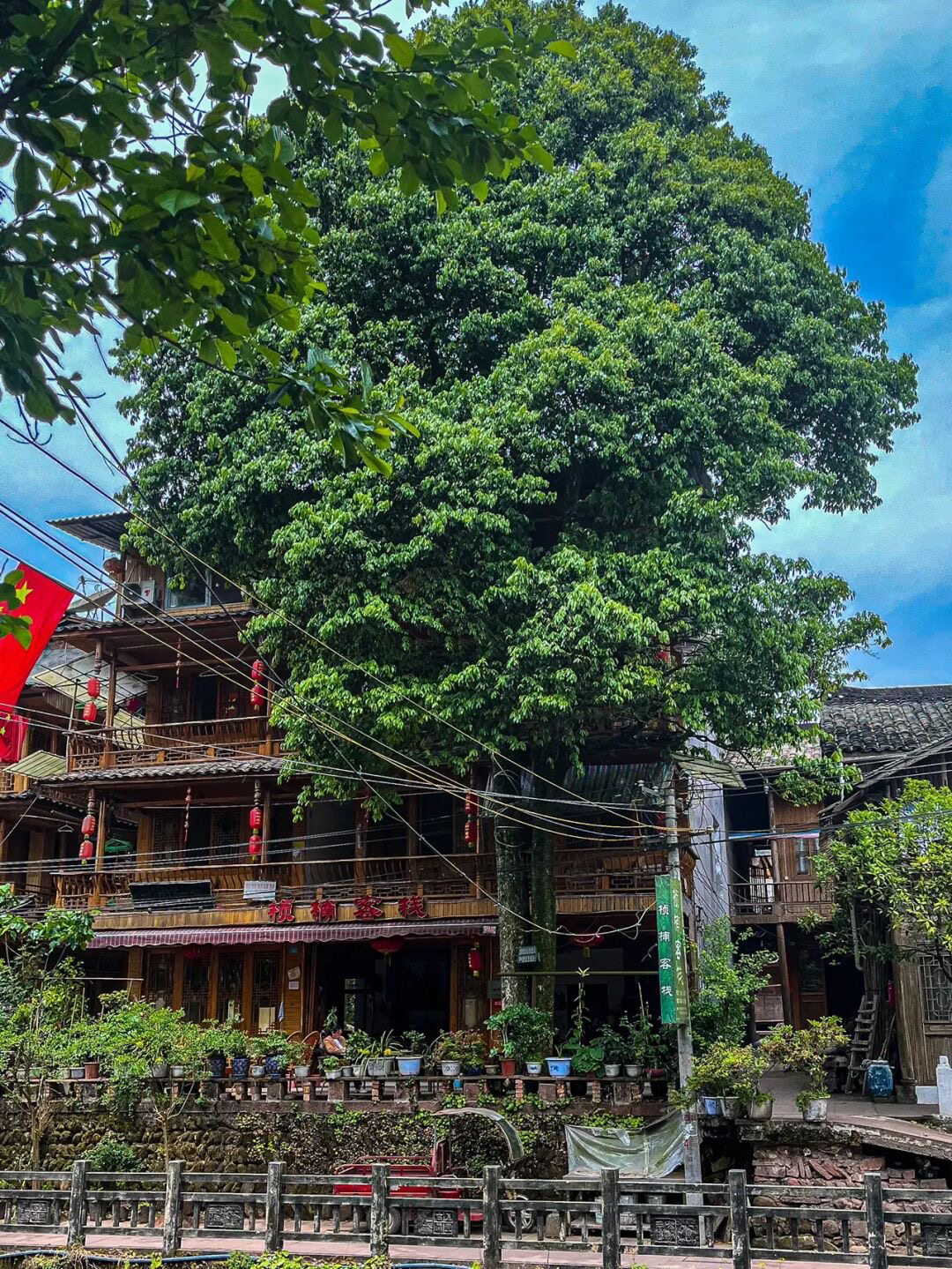 成都近郊一个小众禅意古镇,成都茶山古镇图片