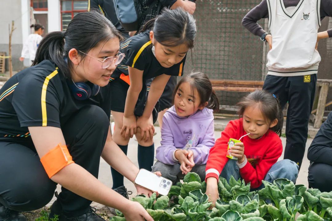 慈善的心态商业的手法,公益要用商业的手法