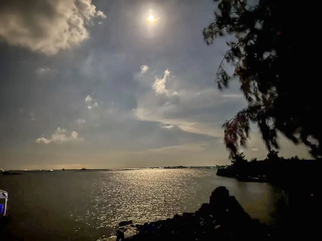 公安机关守护春节万家灯火,守护万家团圆警察文章