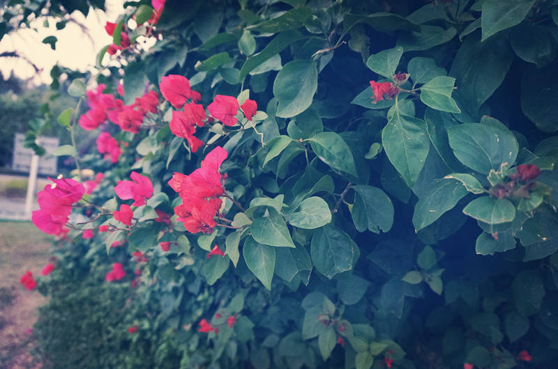 就业吃香的4个大学专业值得报考,这5个专业比较难学比高三还苦