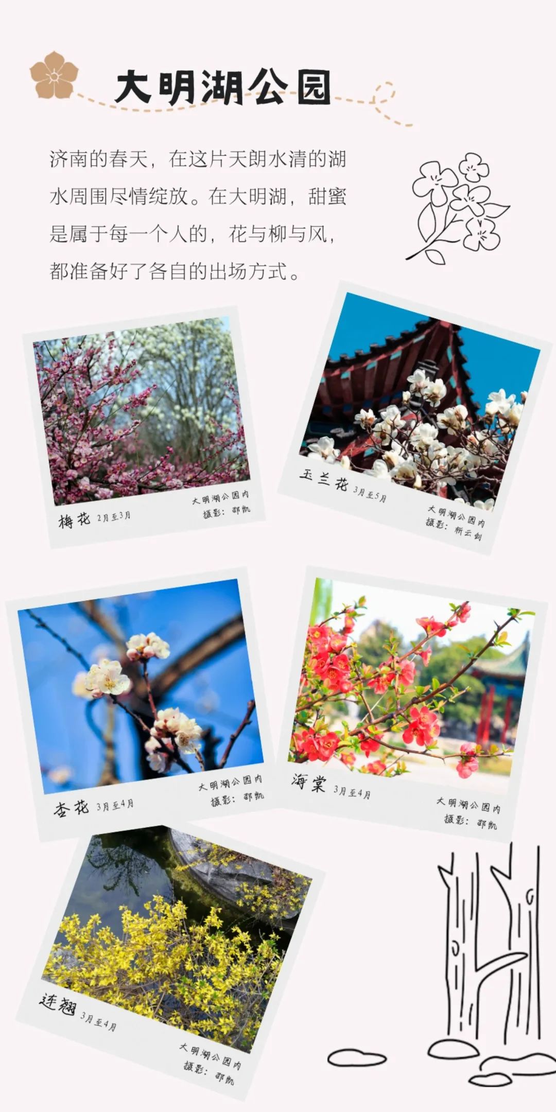 踏青济南攻略,济南黄河边春游攻略