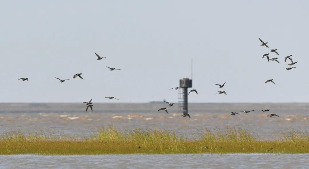 亲子玩的地方推荐上海浦东新区,浦东适合亲子游的地方推荐