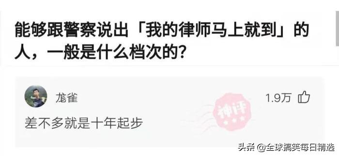 你的岗位还招人吗神回复,问做什么工作怎么神回复