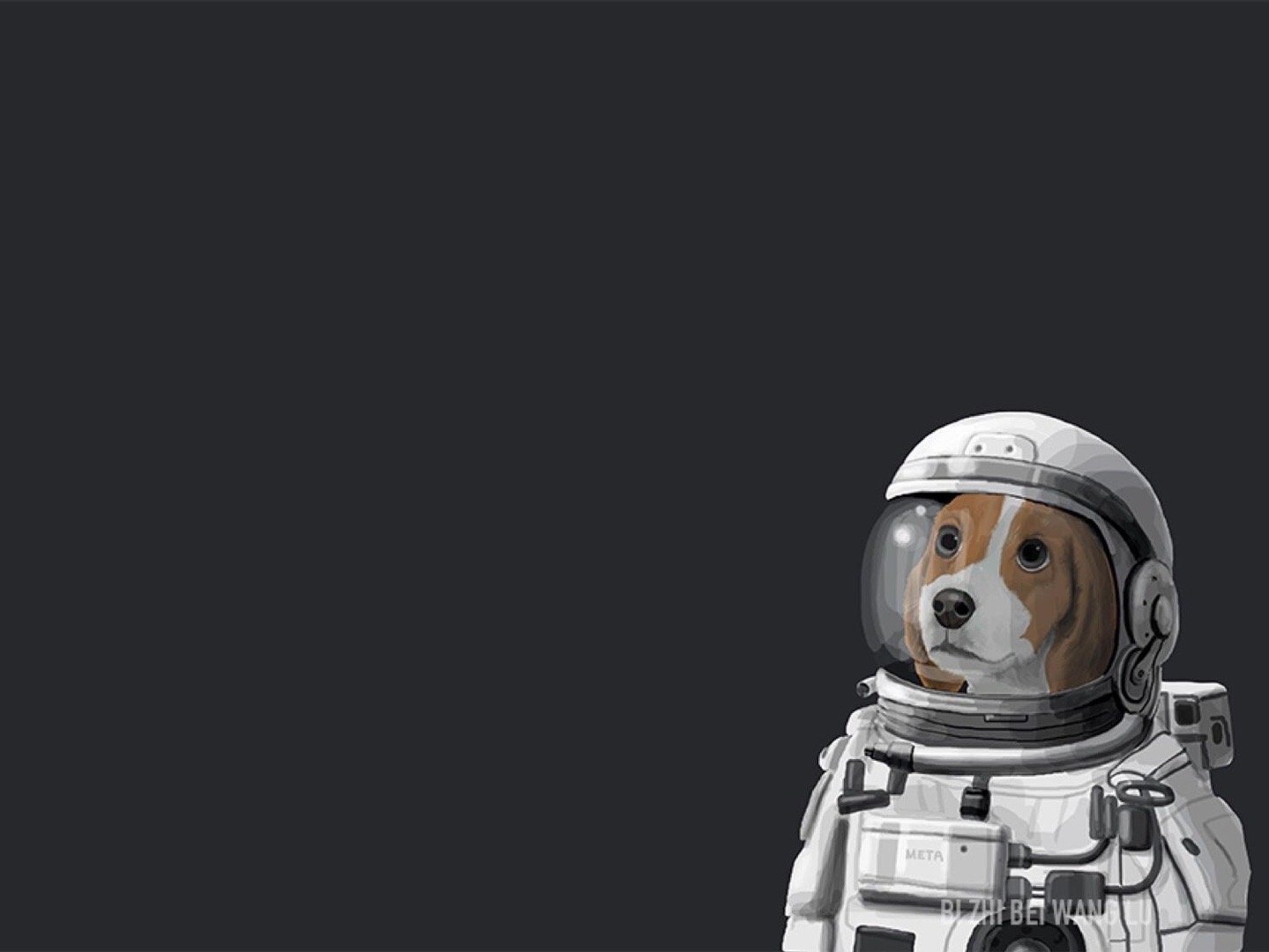 电脑桌面壁纸1920x1080超清,电脑桌面壁纸高清全屏