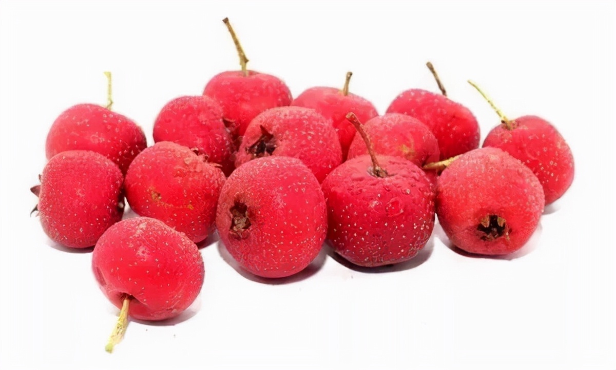 山楂都有什么功效和作用,山楂都有哪些功效和作用禁忌