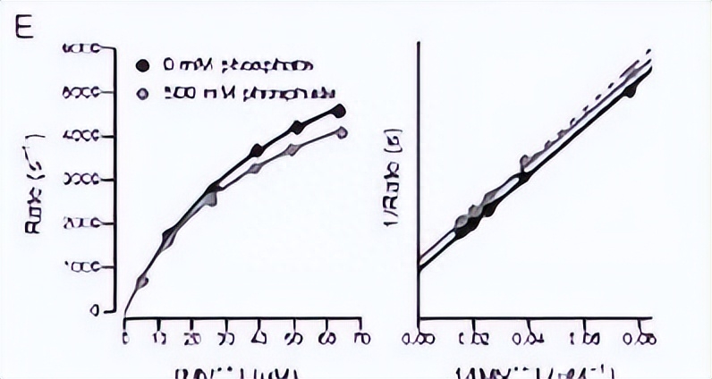 如何使用EOSM290机器，在不同加工条件中，制造出极端形状的薄壁