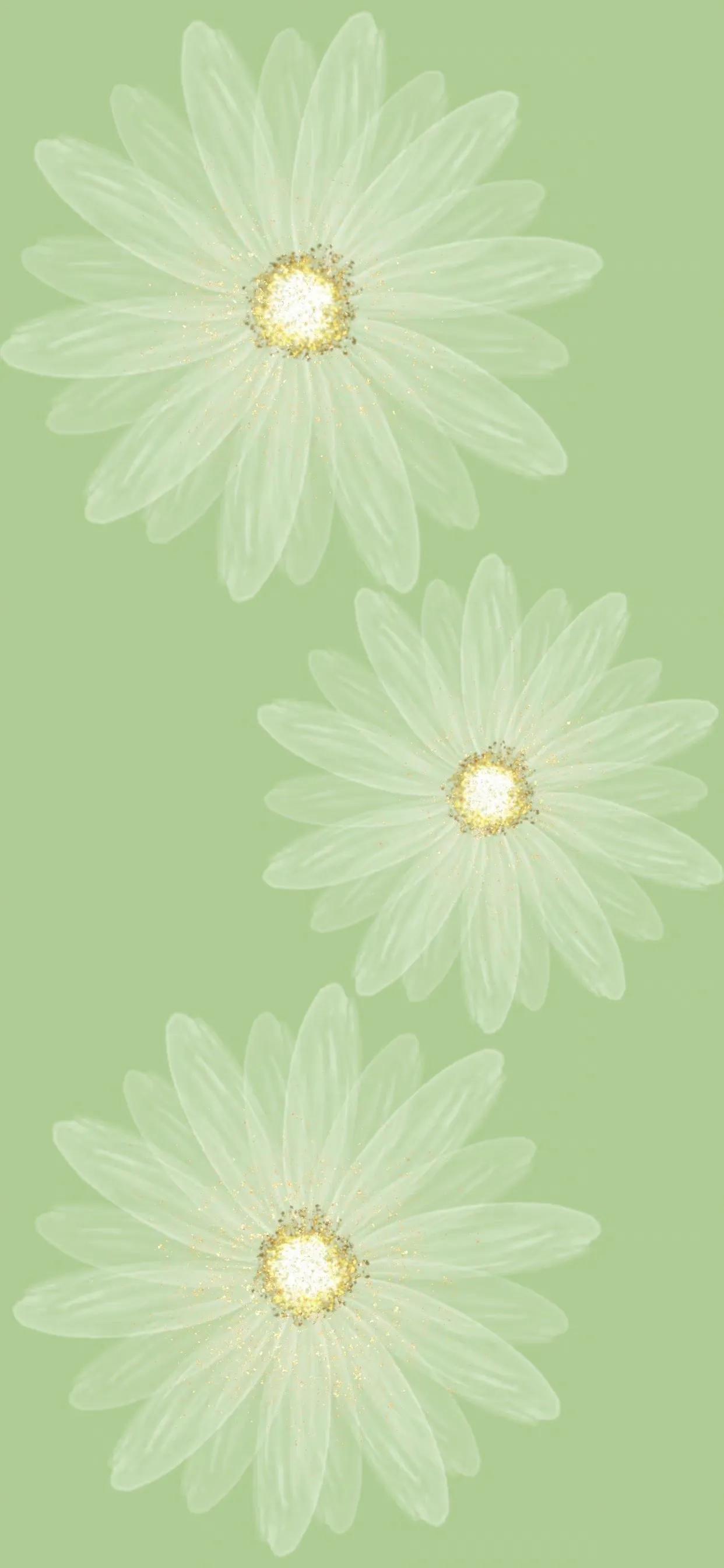 手机壁纸ins风夏日黑白,手机壁纸小清新绿色柠檬