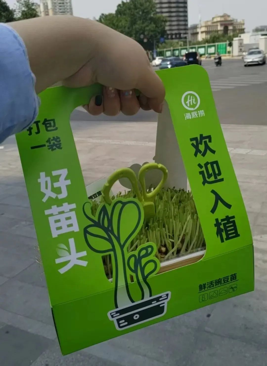 火锅菜品100种摆盘图片大全,火锅摆盘推荐高颜值