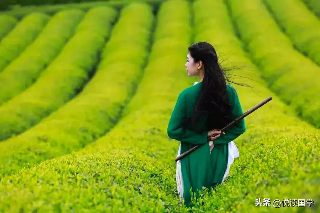 易经有什么实用价值,易经推演真的准吗