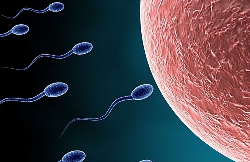 揭秘慈善背后的秘密,揭秘慈善的秘密