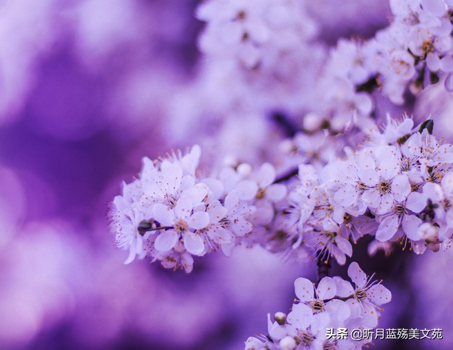 时光清浅一念情起一生相思,时光清浅愿你一切安好