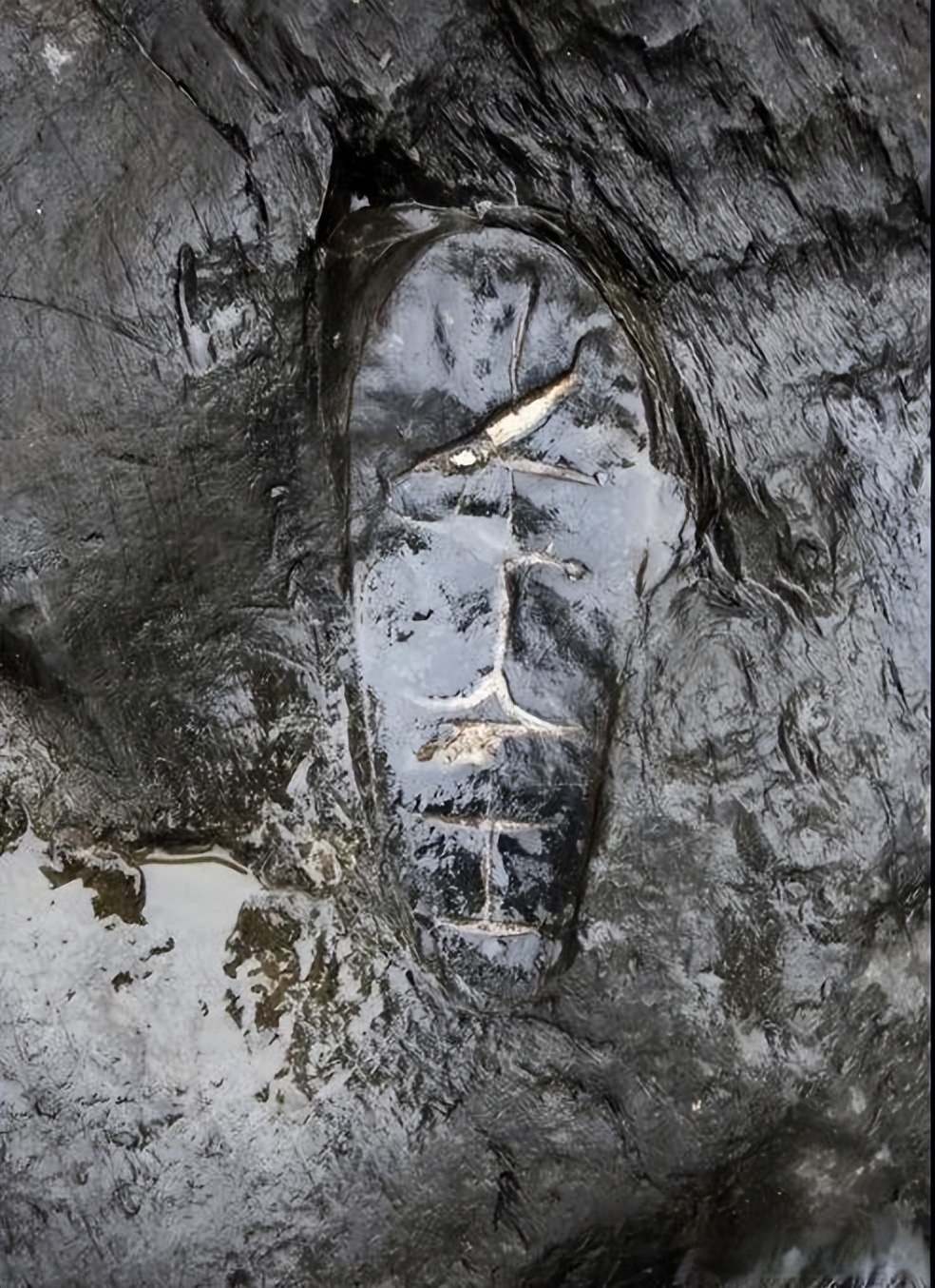 70岁老人摔跤事件,72岁老人摔跤完整视频