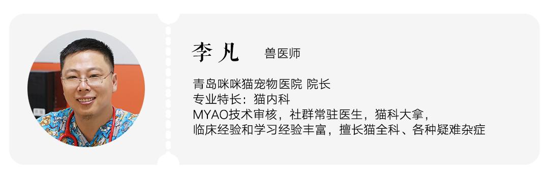 猫咪上火的症状和治疗方法,猫咪嘴巴上火起泡怎么快速消除
