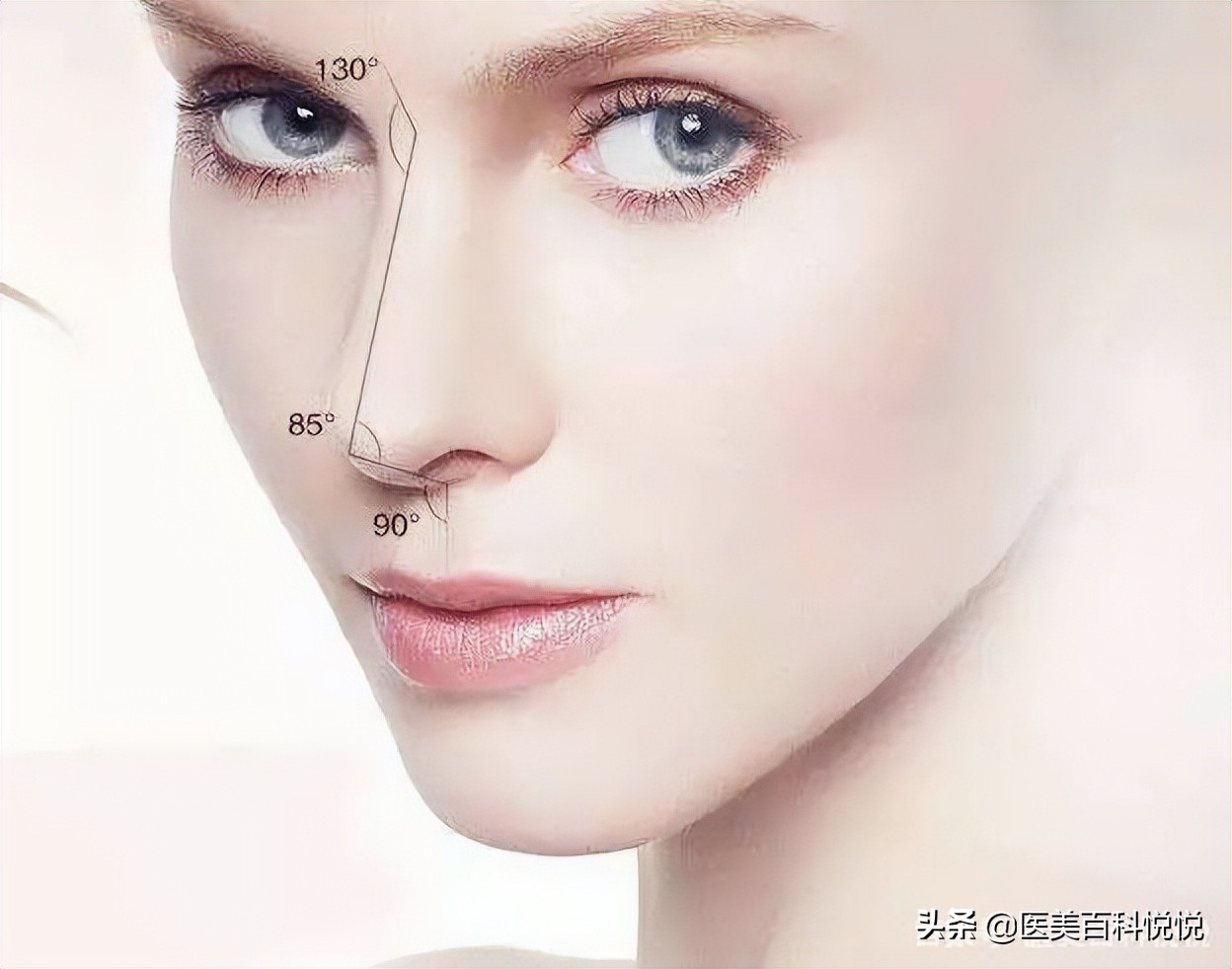 苏王——给长鼻仙女的一些小Tips