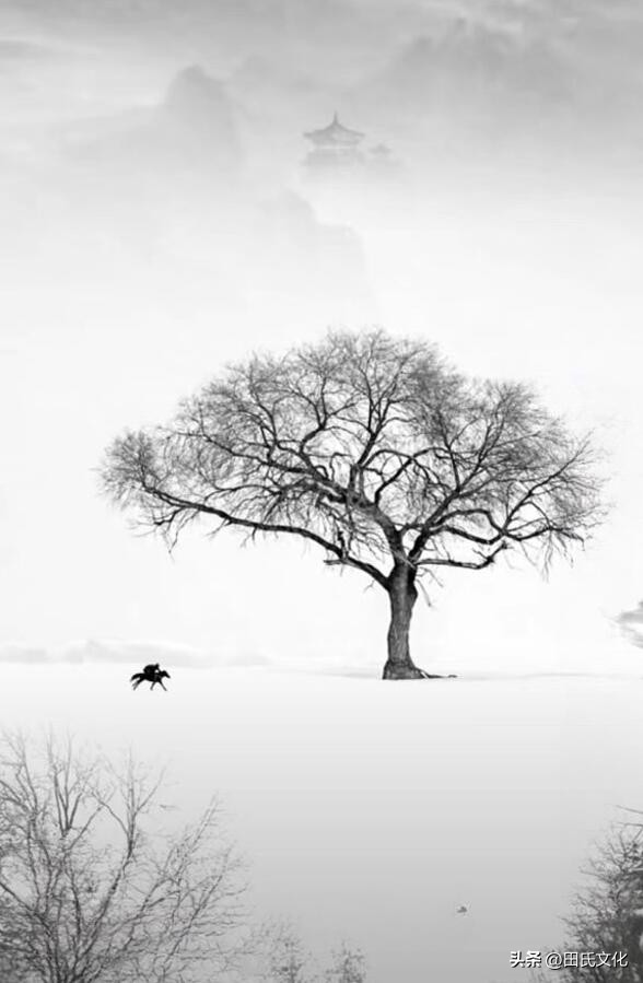 鐢版皬鏂囧寲缃戠粶骞冲彴,鐢版皬鏂囧寲浼犳壙骞冲彴