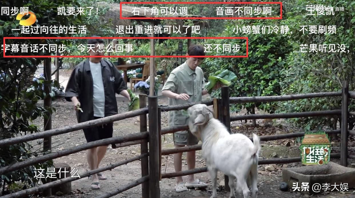 向往的生活7王俊凯就参加一期吗,向往的生活7有王俊凯吗