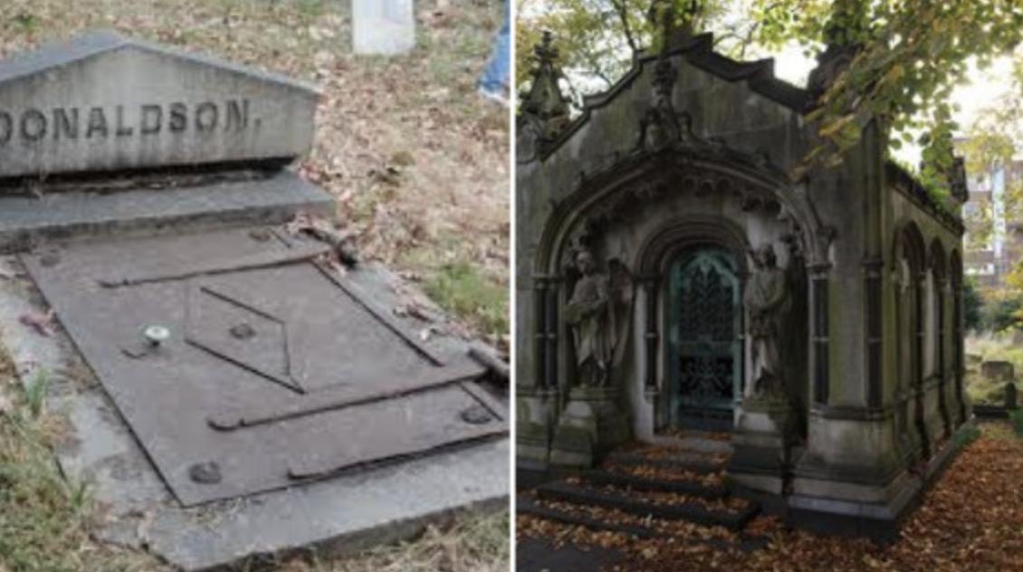 青蛙吞食毒蜘蛛,青蛙吃蜘蛛会不会被毒死