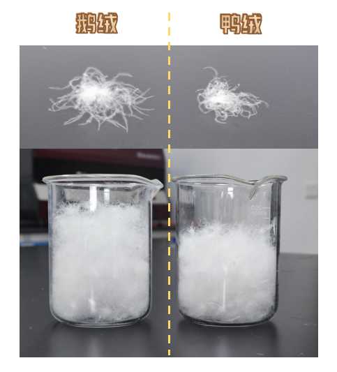 如何挑选羽绒被填充物,家纺专家如何挑选被子