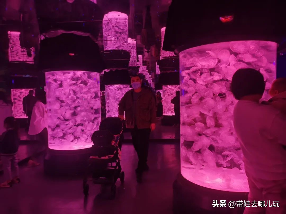 天津海昌极地海洋公园冬天营业吗,天津海昌极地海洋公园游玩攻略