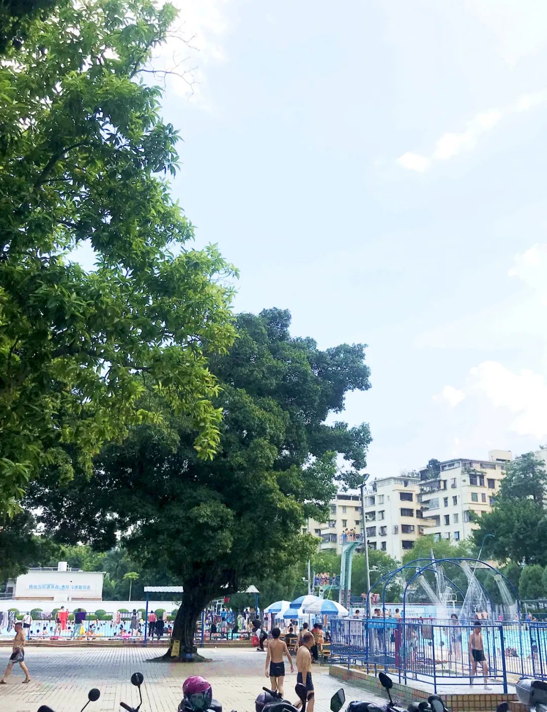 暑期篮球特辑,韶关篮球夏令营推荐