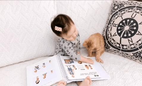 2018年全国宠物展排期表,深圳宠物展会2021排期明细表