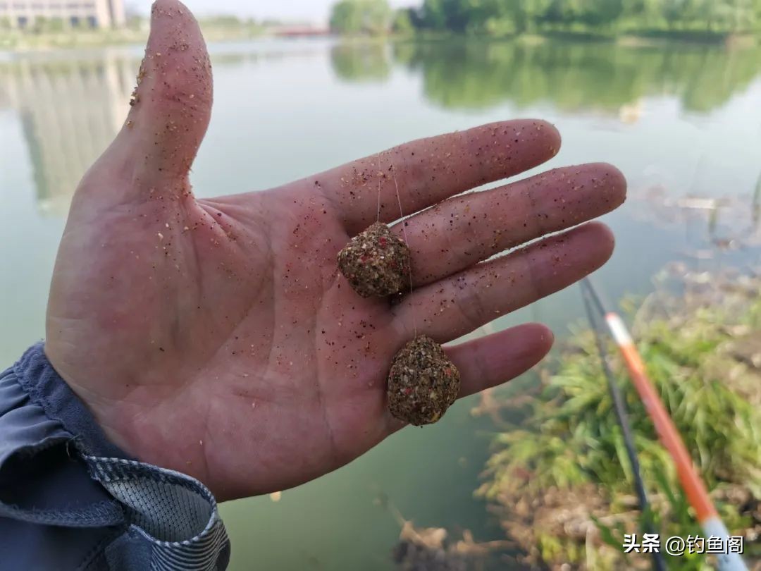 钓鲤鱼先做窝,学会这三种打窝方法,可以钓遍江河湖库