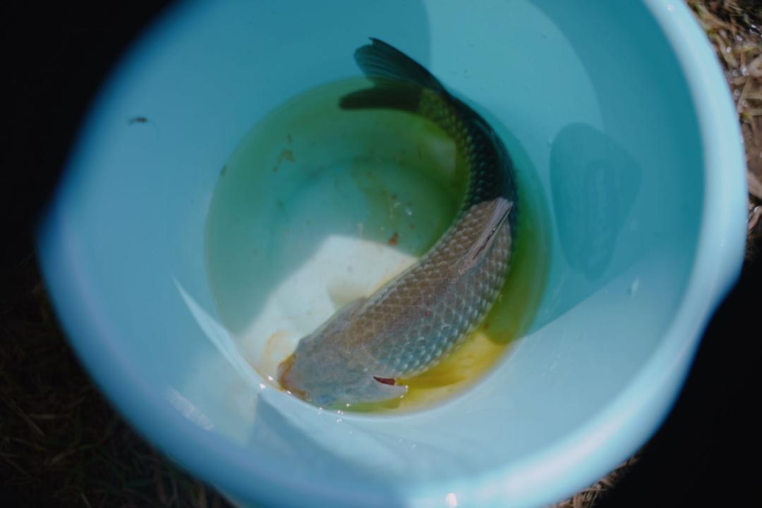 当孩子问你问题怎么回答,孩子问什么都不说怎么沟通