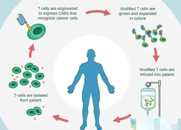 120万抗癌药真的能彻底终结癌症吗,120万一针抗癌药危险期几天