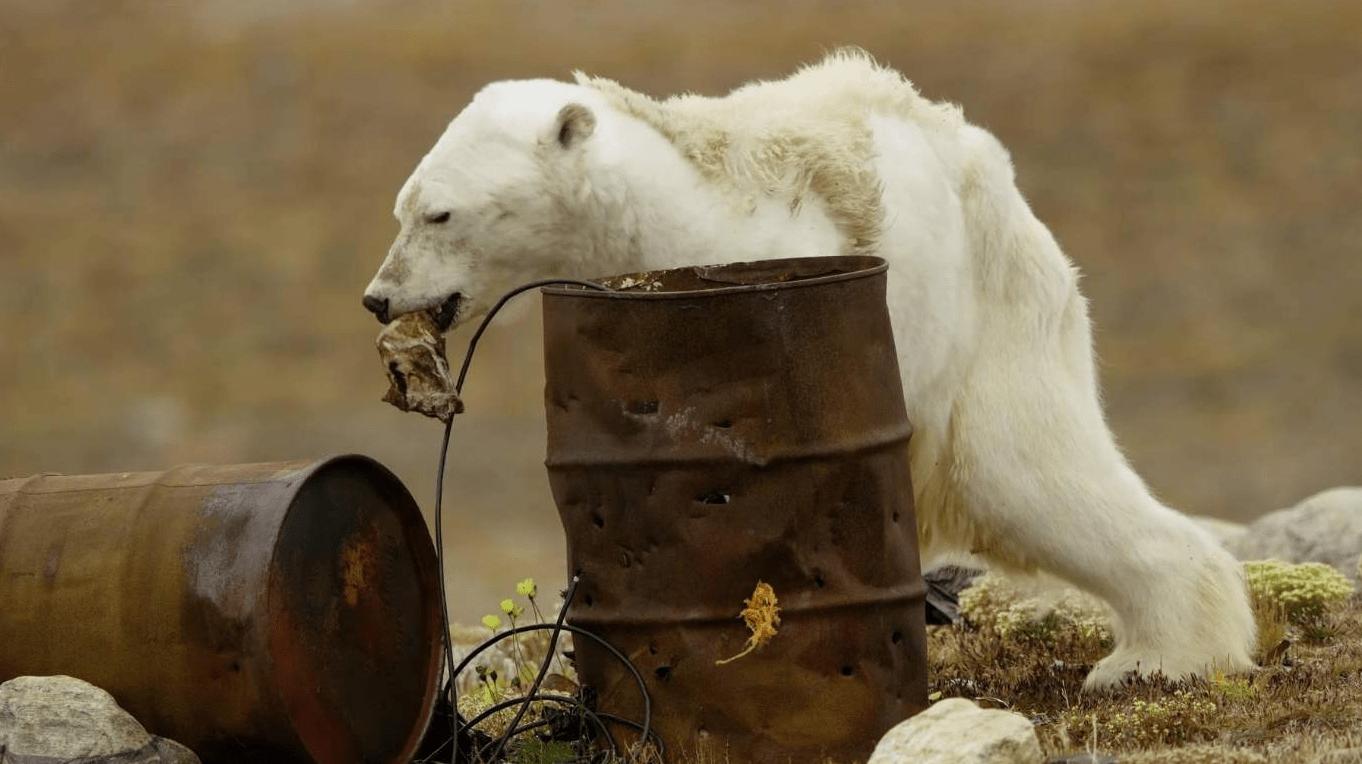 珠穆朗玛峰冰川消融速度变快,珠穆朗玛峰昆布冰川有多恐怖