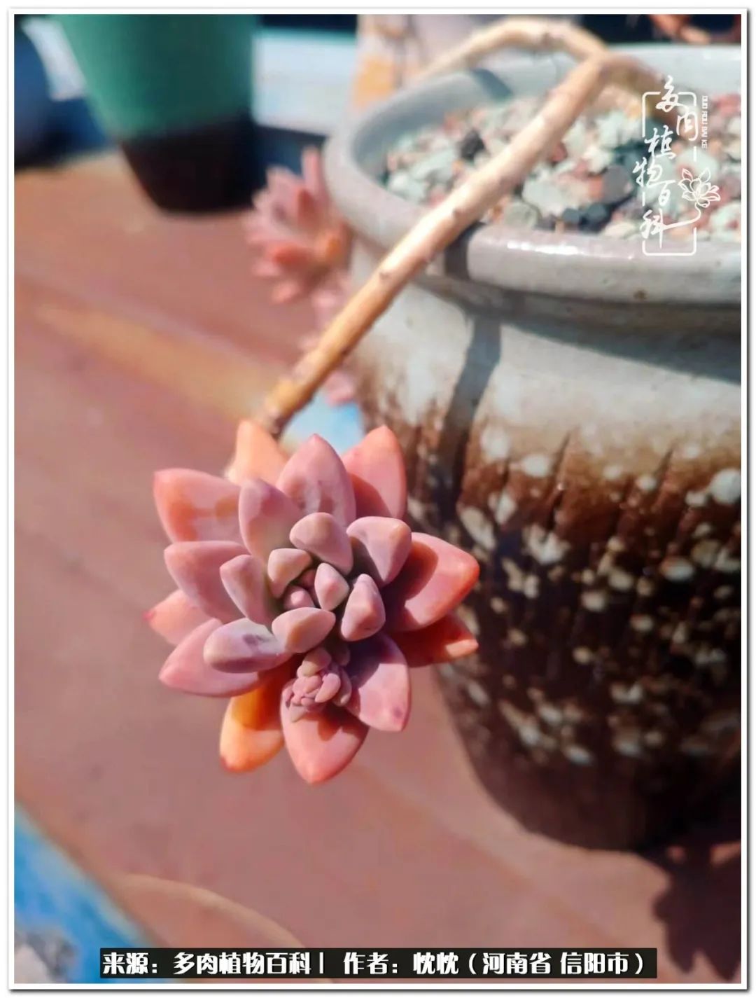 携一人白首择一城终老心之向往,携一人之手择一城终老图片