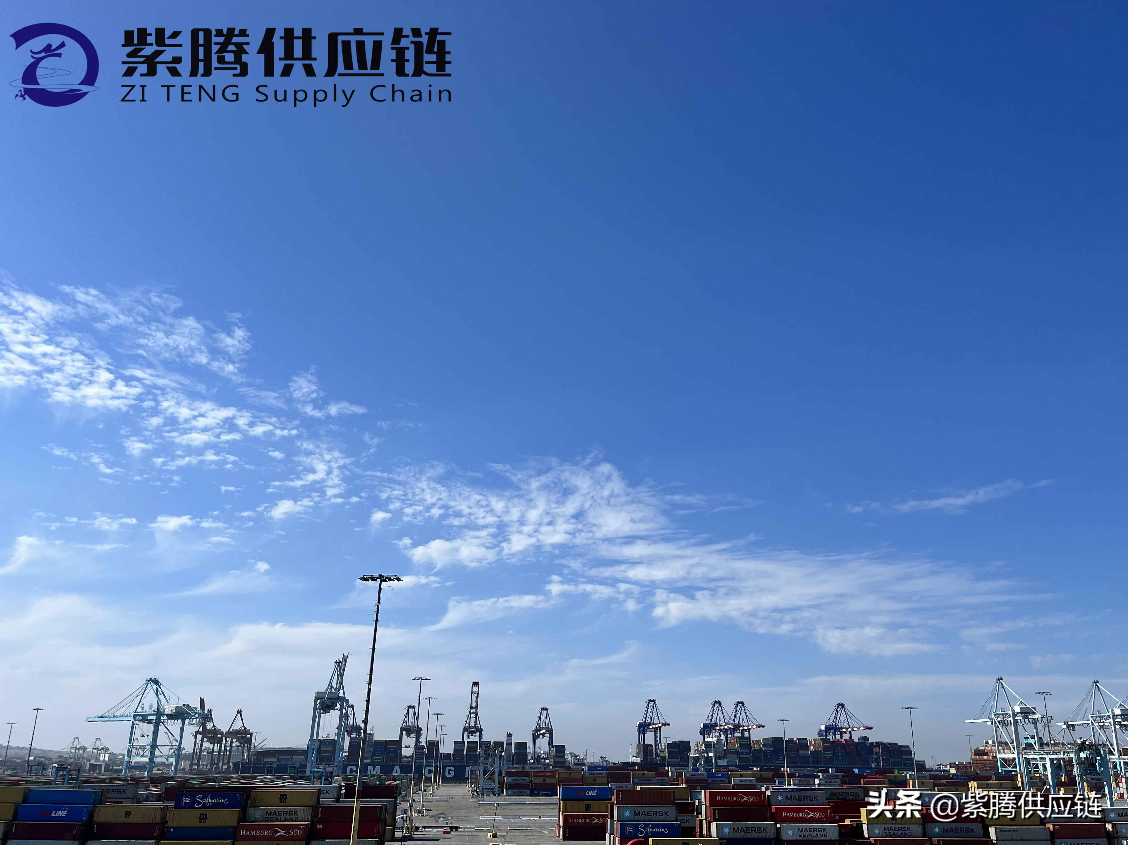 货运代理与报关行：有什么区别？