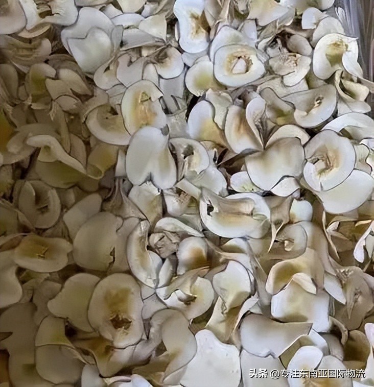 泰国新鲜海底椰,泰国海底椰新鲜干片