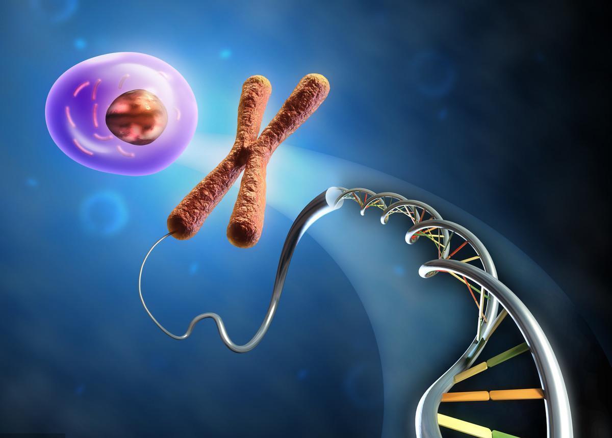 小儿脆性x综合征,x染色体脆性综合征儿童的表现