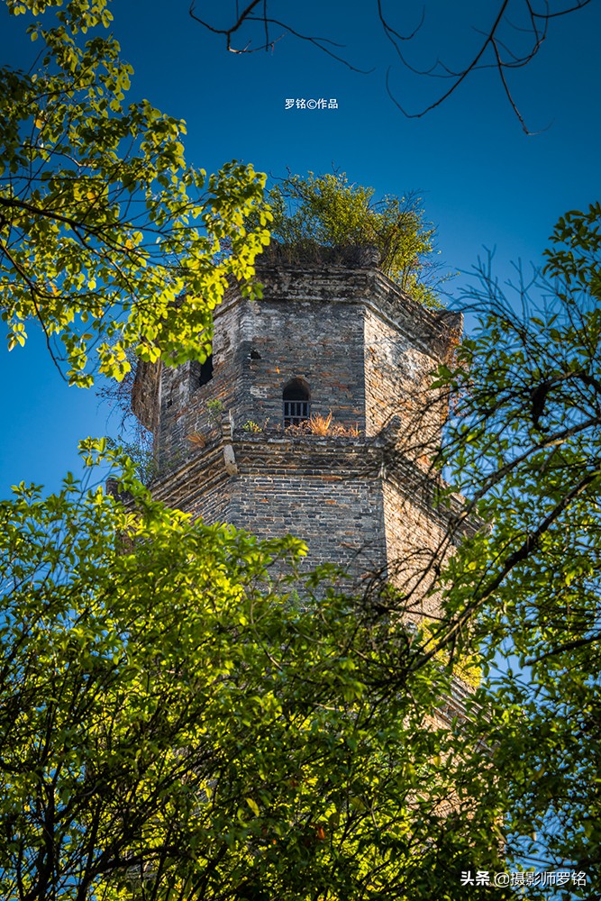 永州之野田园综合体,永州之野农产品