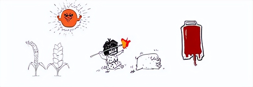 2024本命年犯太岁还是值太岁,今年本命年犯太岁佩戴什么属相好