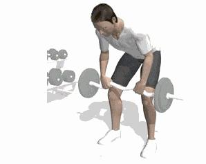 一周练三天计划,一周三练详细计划