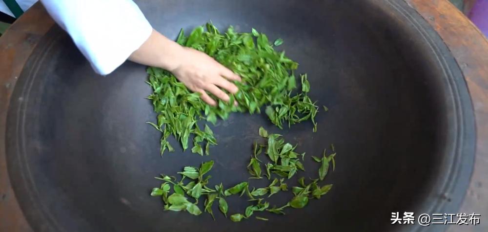 【媒体看三江】新华社聚焦三江：侗乡农民种茶制茶增收致富