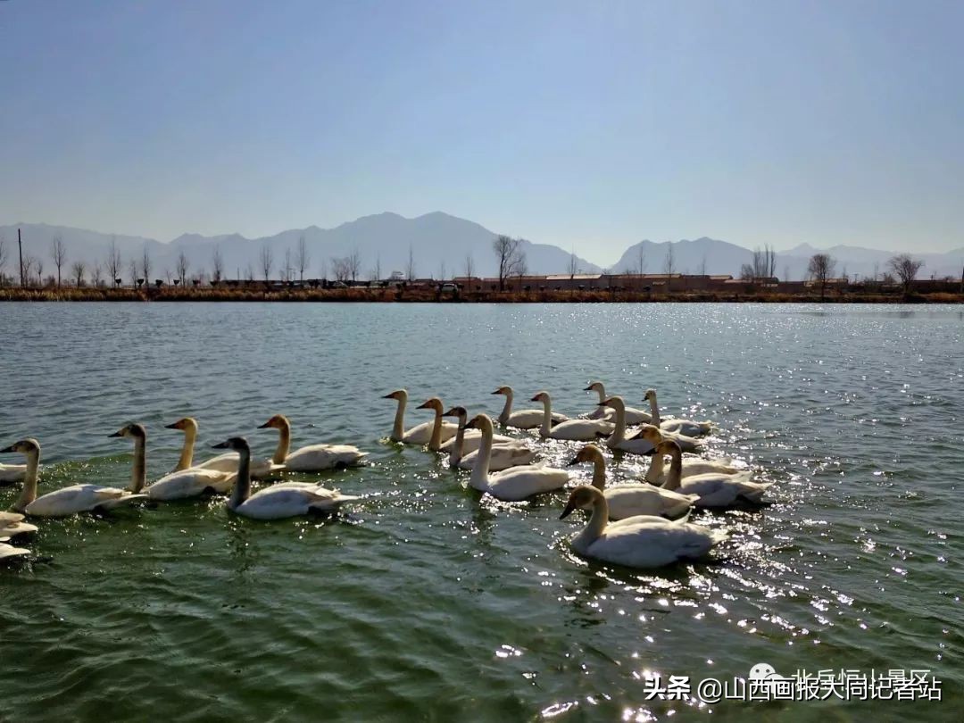 浑源著名打卡景点,浑源景点图片大全