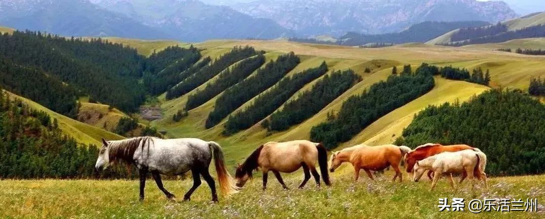 甘肃为啥美,甘肃究竟有多惊艳