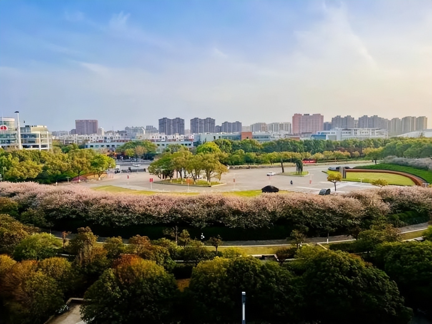 学霸获8所顶级名校offer,成功拿下世界500强offer