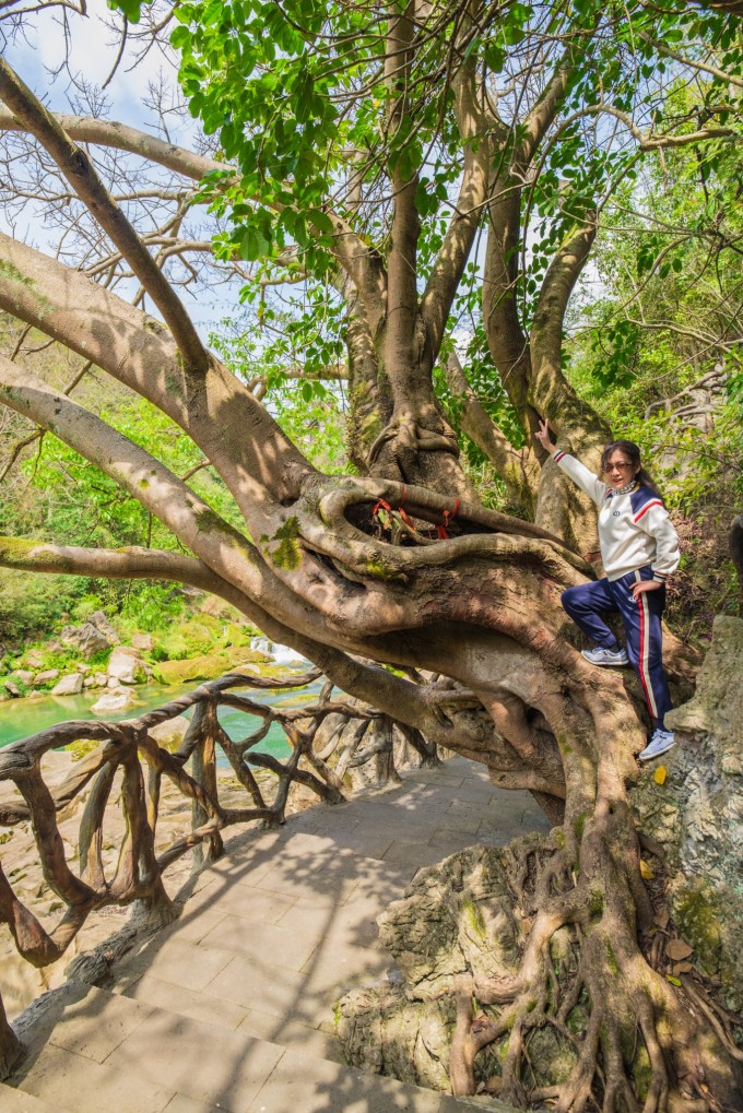 自驾游贵州黄果树旅游攻略,安顺黄果树景区旅游攻略路线推荐