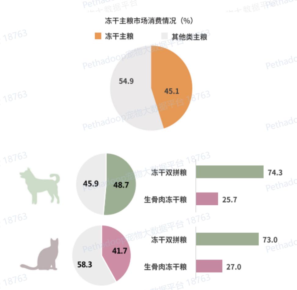 加速国内市场布局，SC官宣乐它奥利派为品牌两大业务代理