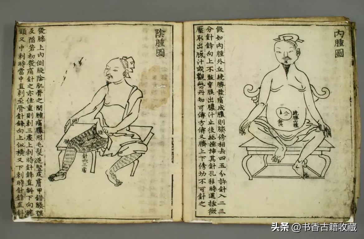 【中医秘本】《治肿指南》