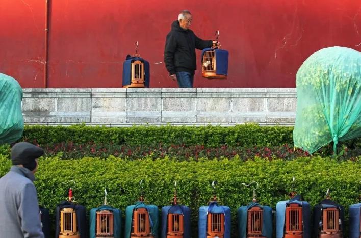 建水民宿包吃包住多少钱一天,建水康养公寓一年包吃住多少钱