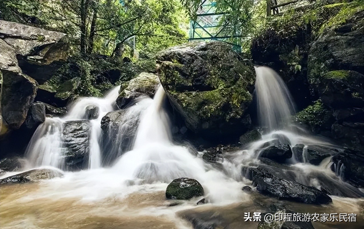 浙江安吉避暑哪里最好,夏天浙江避暑最佳旅游地